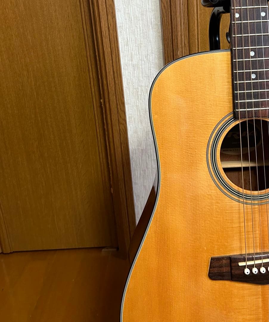 Aria ADW-300 SN アコースティックギター 調整済 ソフトケース付