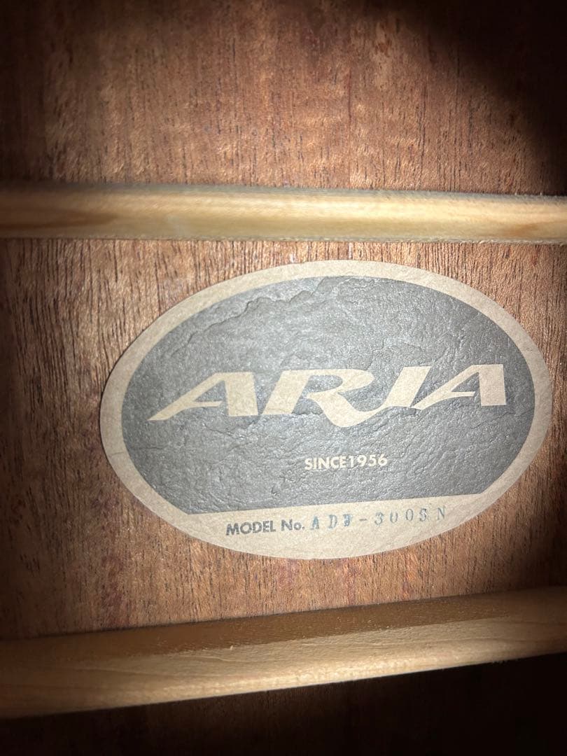 Aria ADW-300 SN アコースティックギター 調整済 ソフトケース付