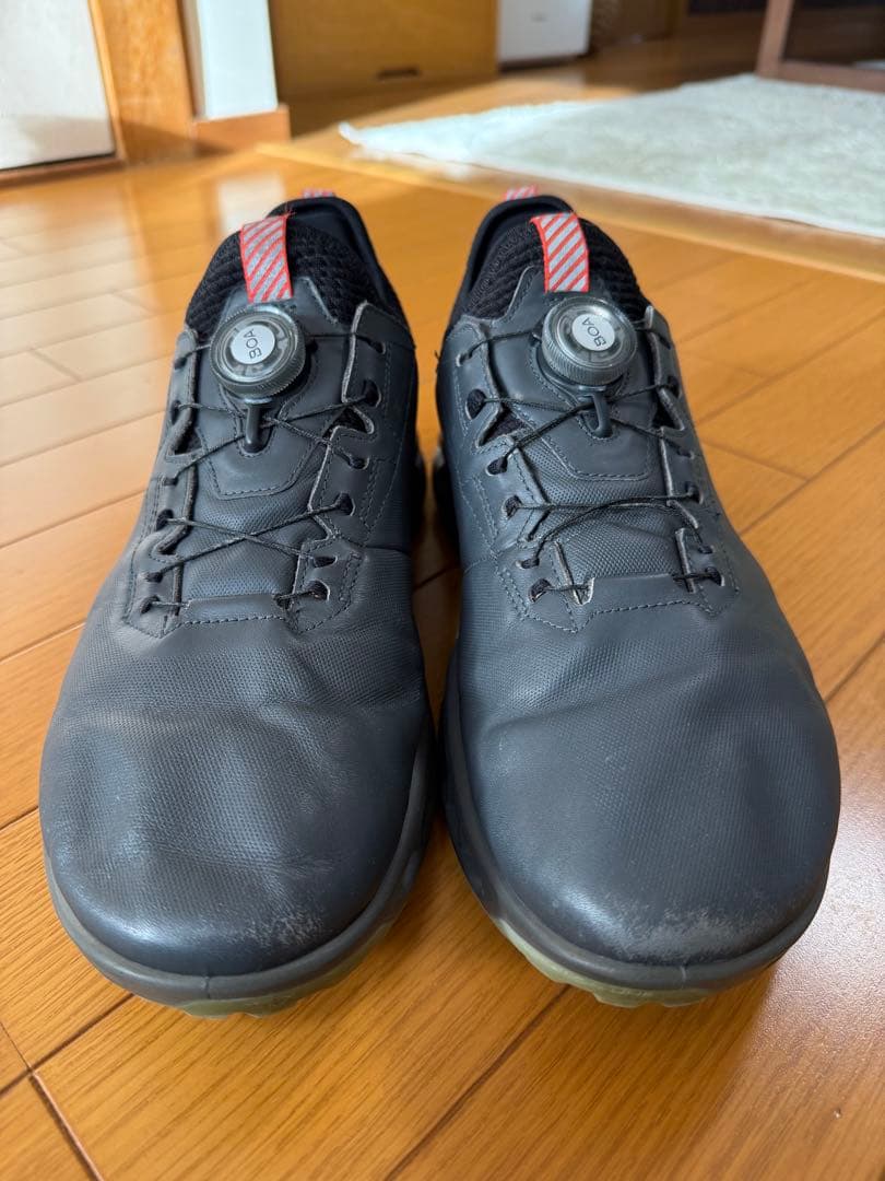 ECCO Golf BIOM C4 BOA Men（GORE-TEX）