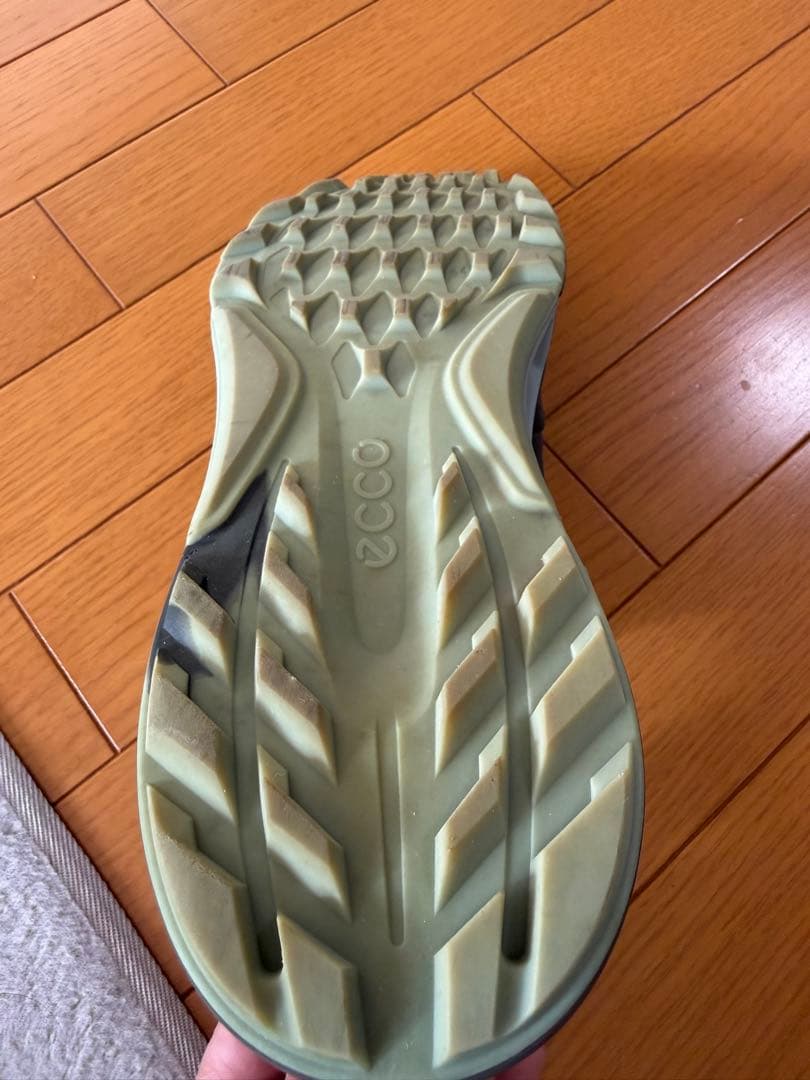 ECCO Golf BIOM C4 BOA Men（GORE-TEX）