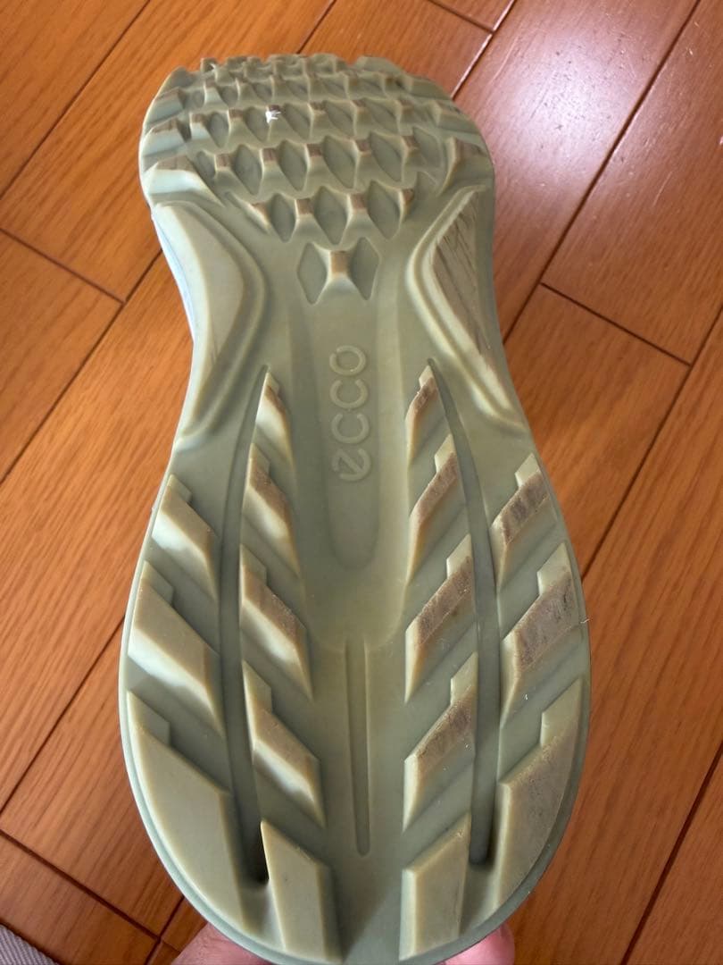 ECCO Golf BIOM C4 BOA Men（GORE-TEX）
