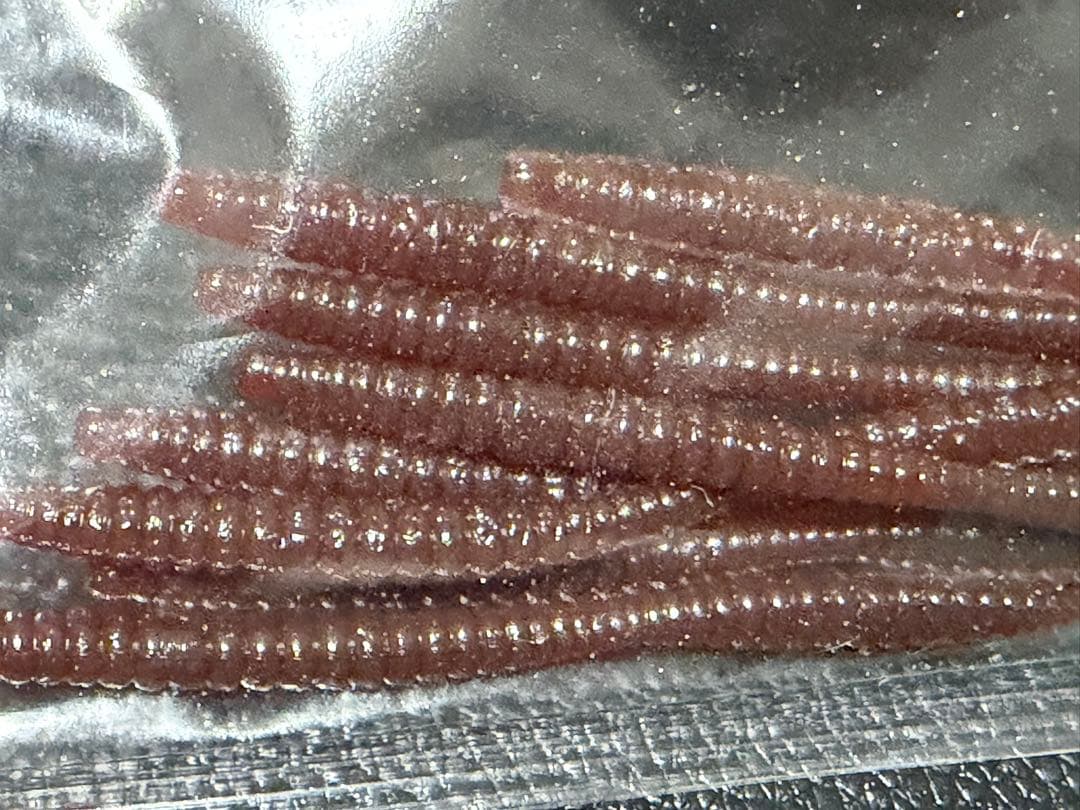 DEPS リバウンドスティック セット