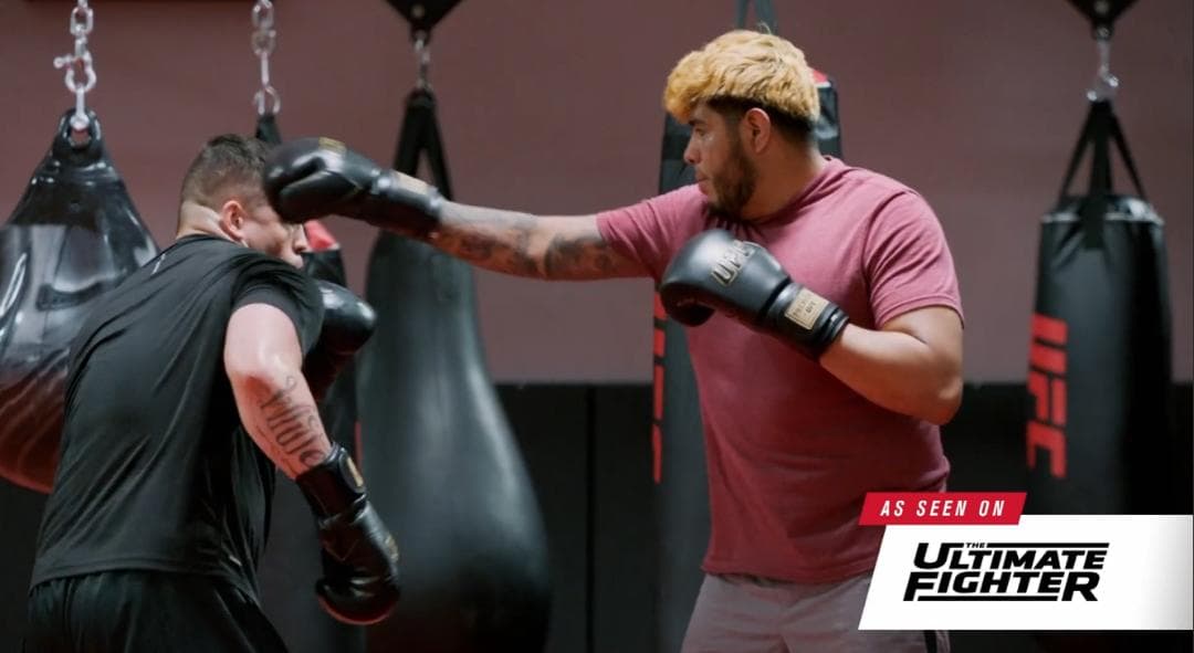 【最高級本革】UFC公式 プロプレミアム トレーニンググローブ ボクシング