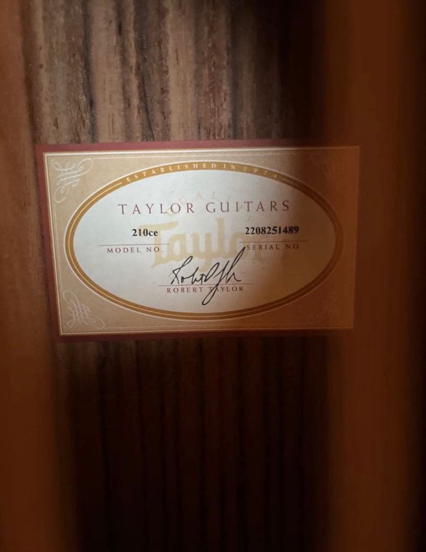 【美品】Tyler 210ce Rosewood -ケース付き-