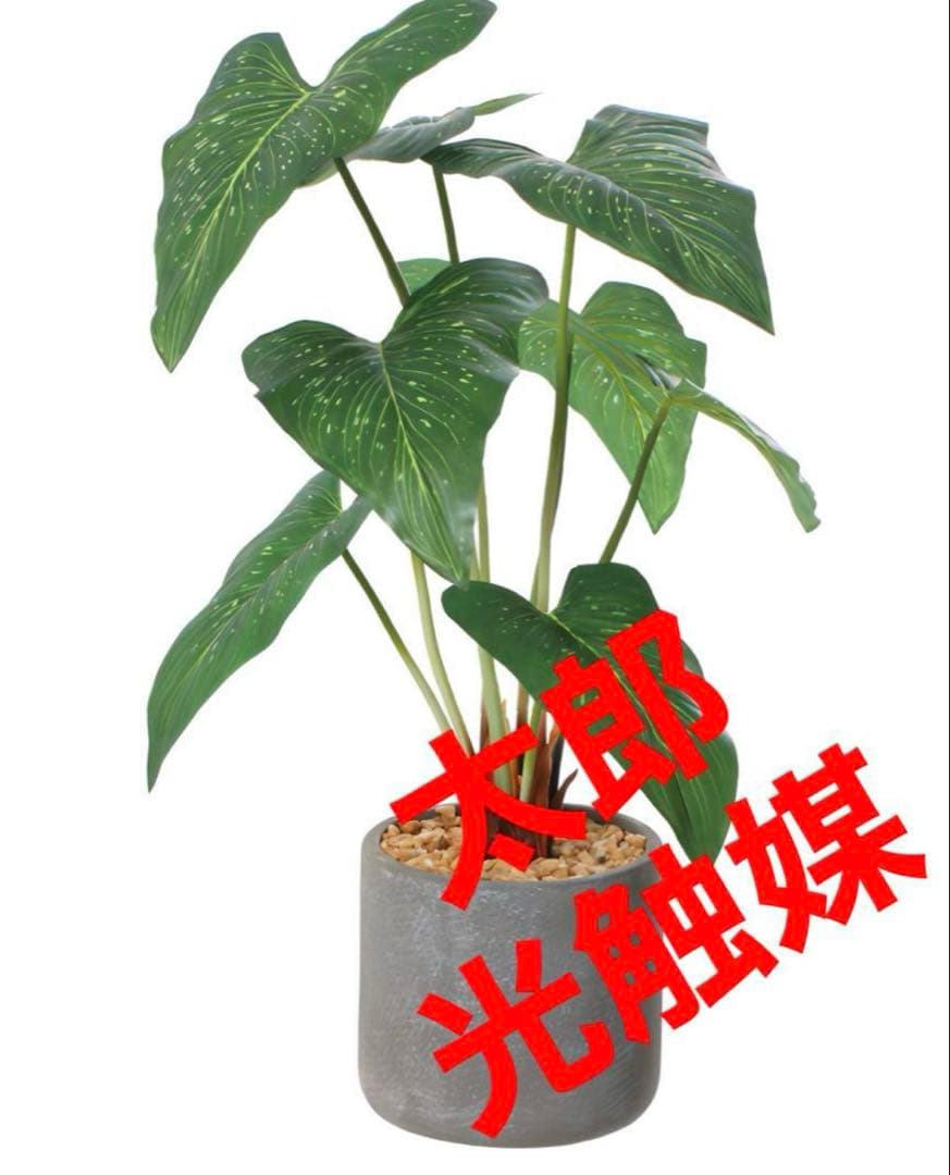光触媒　人工観葉植物　ウォールグリーン　フェイクグリーン　アンスリュームリーフA