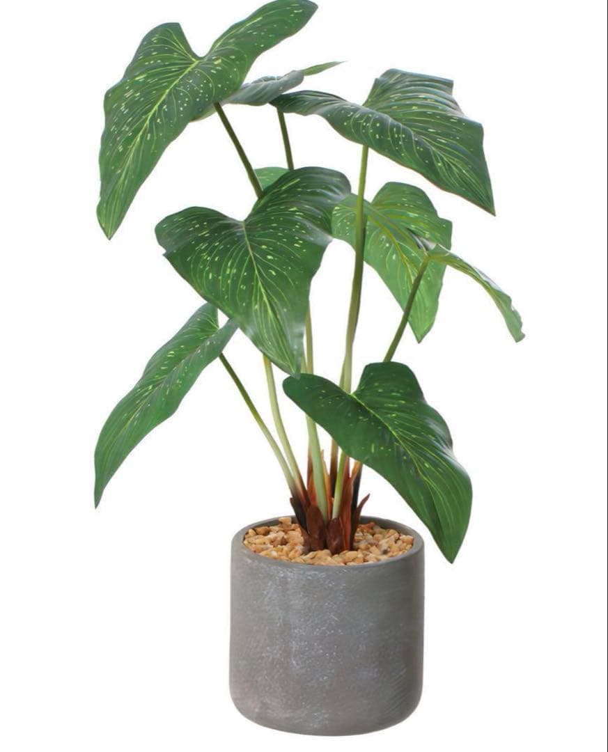 光触媒　人工観葉植物　ウォールグリーン　フェイクグリーン　アンスリュームリーフA