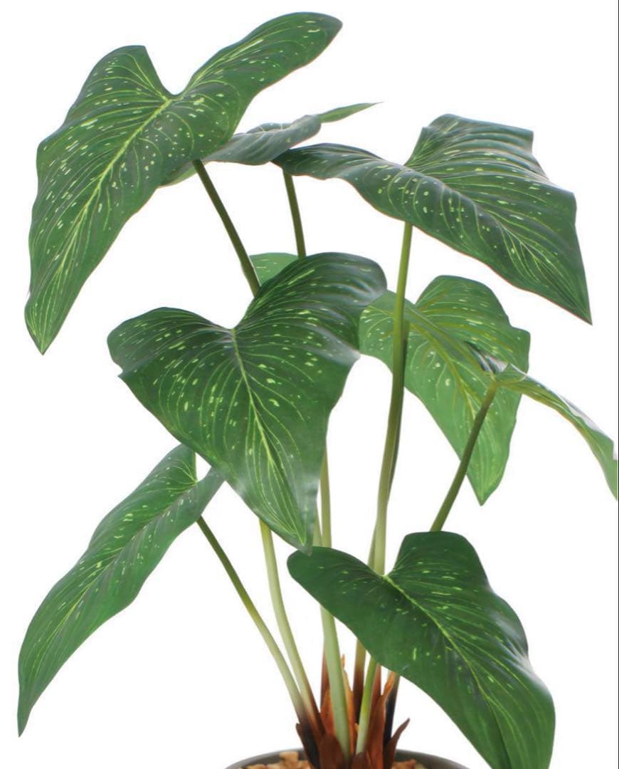 光触媒　人工観葉植物　ウォールグリーン　フェイクグリーン　アンスリュームリーフA