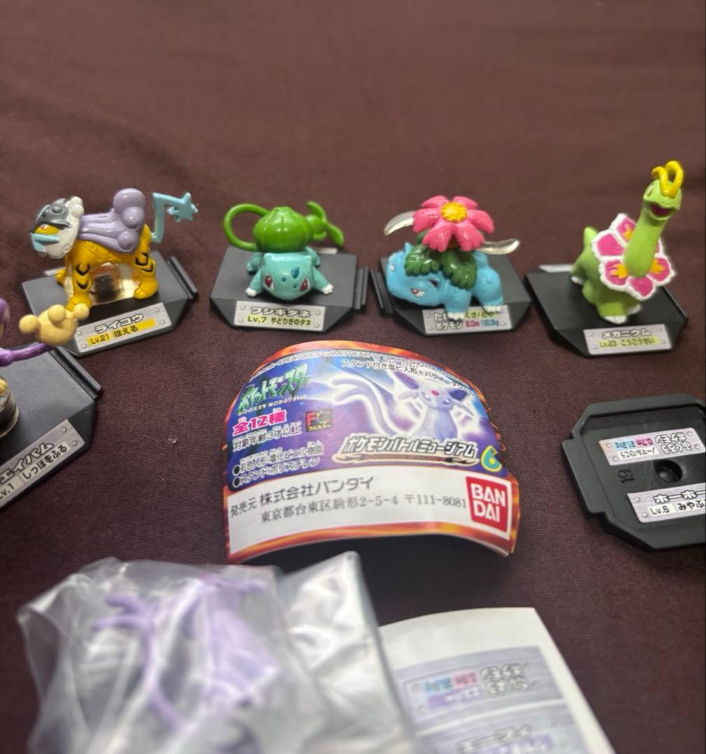 ポケモンバトルミュージアム　11体