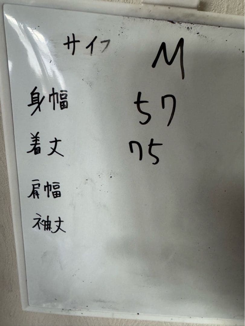レッジーナ　アシックス　ユニフォーム　トレーニングシャツ　新品　Mサイズ　中村