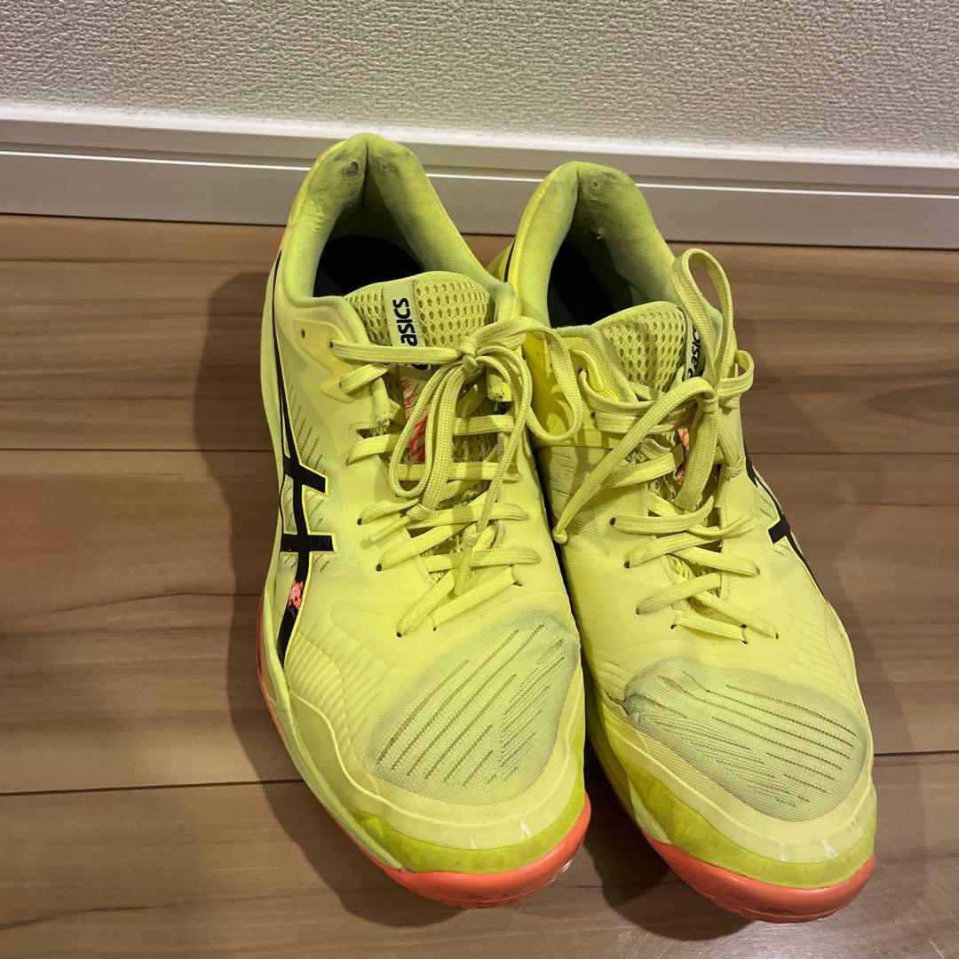 asics スカイエリート　SKY ELITE FF3 PARIS 29cm