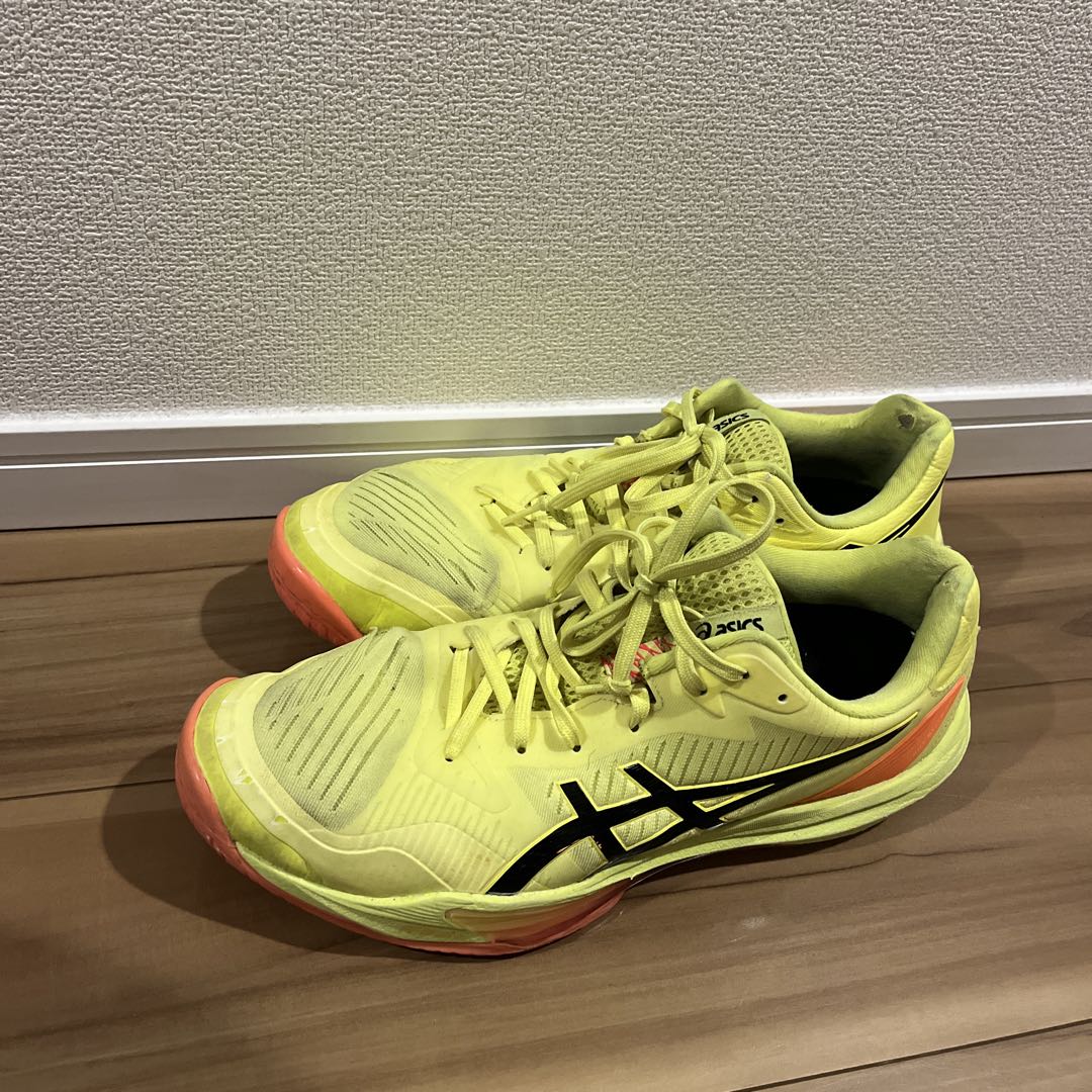 asics スカイエリート　SKY ELITE FF3 PARIS 29cm