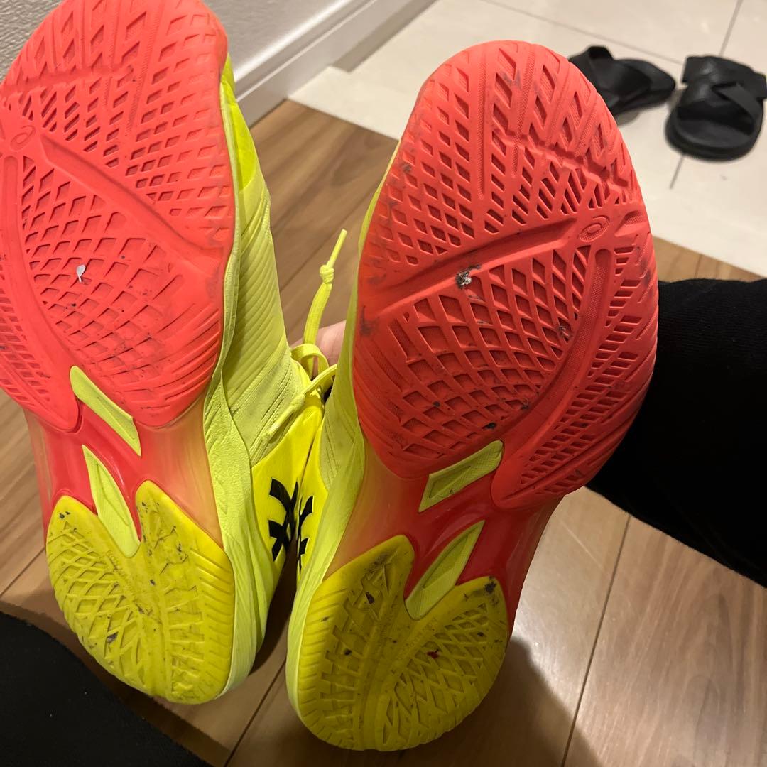 asics スカイエリート　SKY ELITE FF3 PARIS 29cm