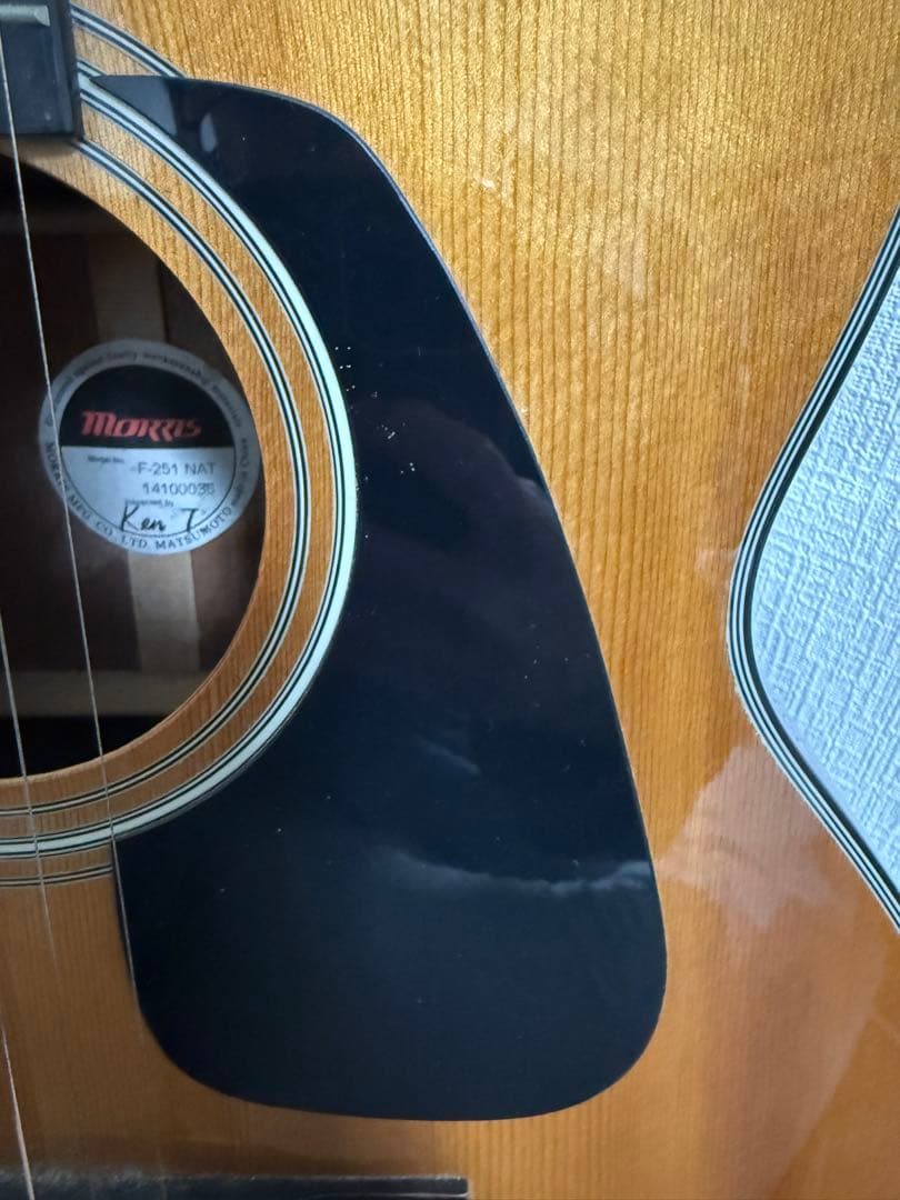 Morris（モーリス） F-251 NAT アコースティックギター ケース付き