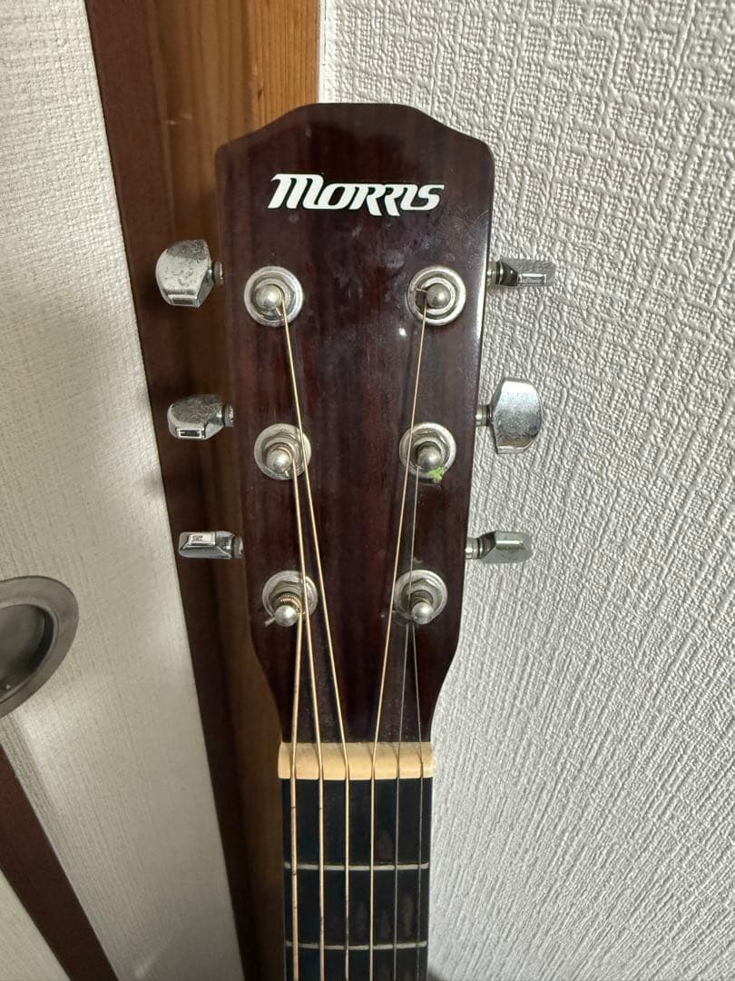 Morris（モーリス） F-251 NAT アコースティックギター ケース付き