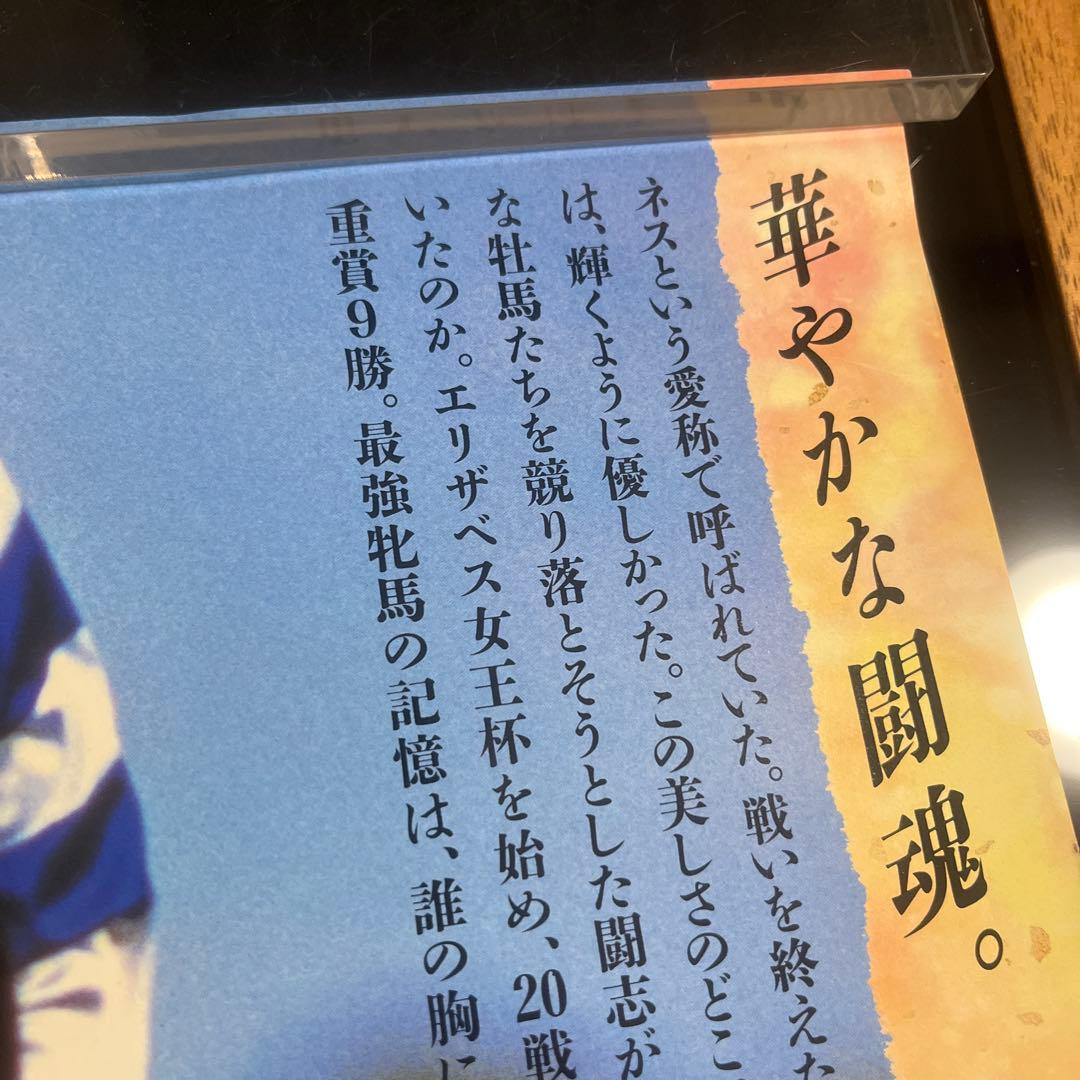 JRA ヒーロー列伝　ヒシアマゾン　B3ポスター　競馬
