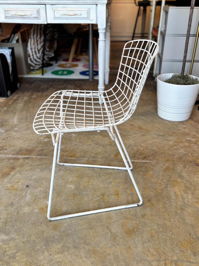 椅子 Knoll / Bertoia / Side Chair Kids Size