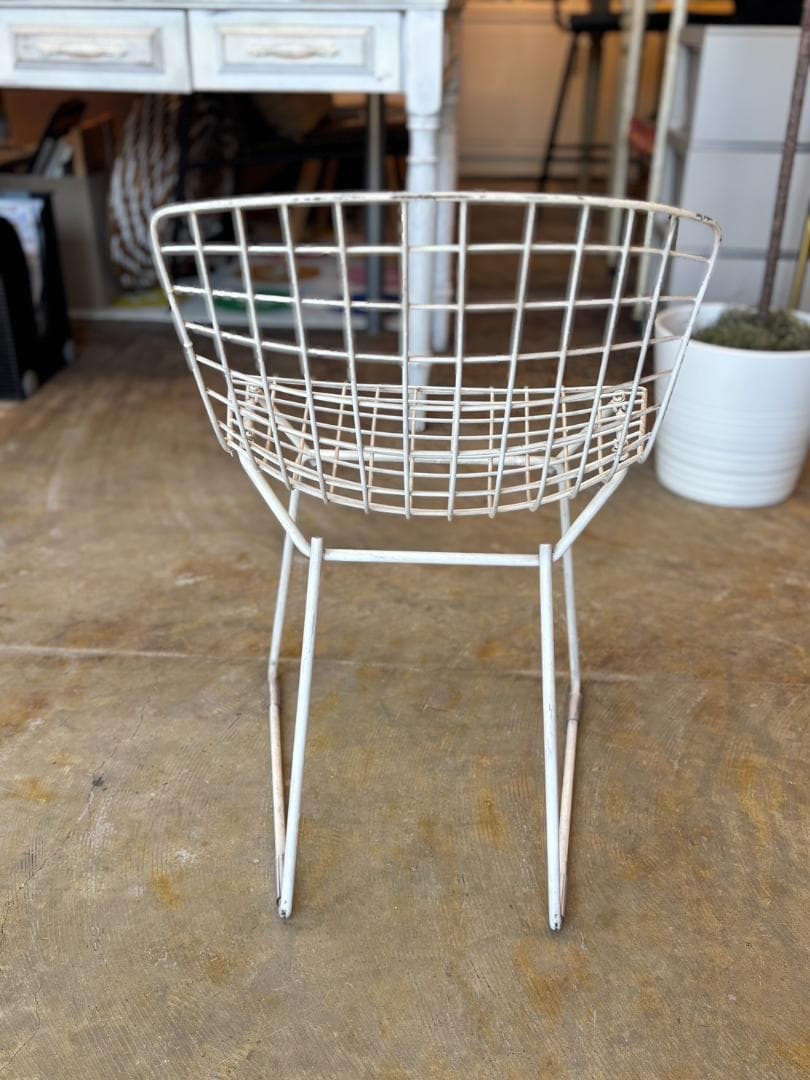 椅子 Knoll / Bertoia / Side Chair Kids Size