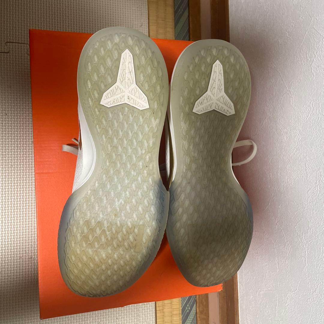 ナイキ バッシュ Kobe Mamba Focus