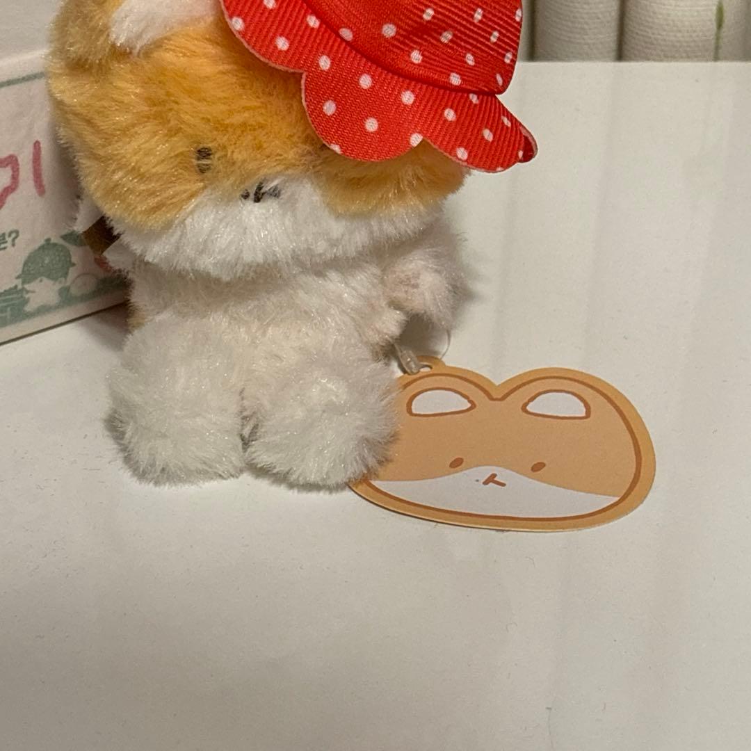 トレギ　ぬいぐるみ　いちご
