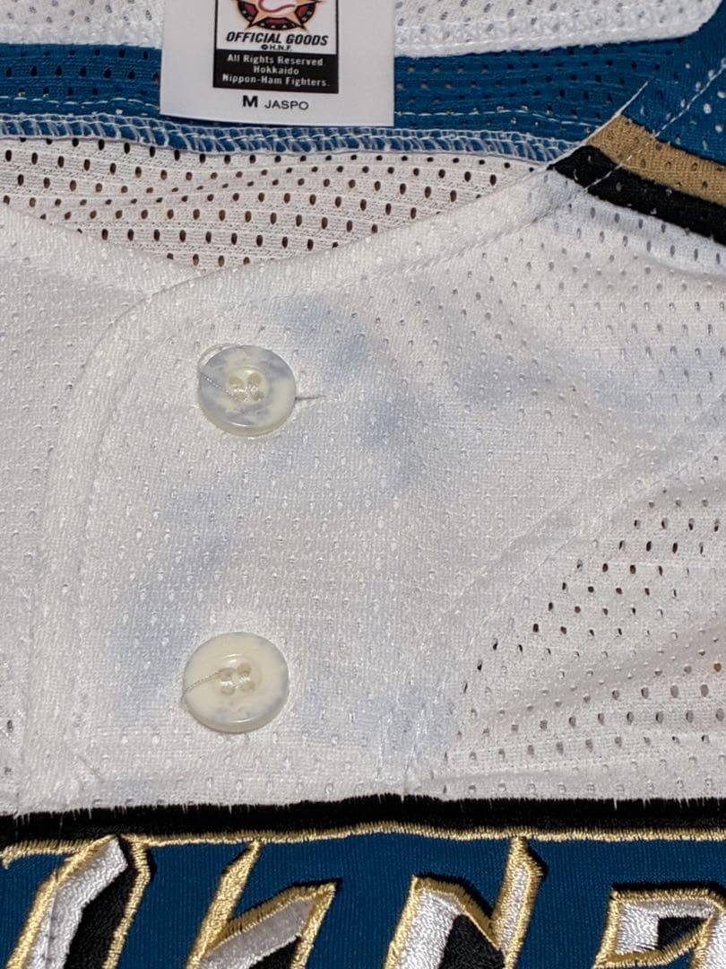 北海道日本ハムファイターズ　ユニフォーム　王柏融　背番号99 刺繍　 漢字