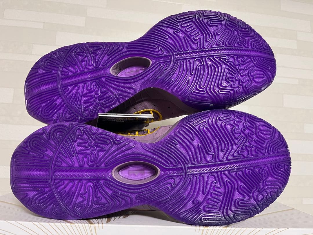 Nike Lebron21 レブロン21 即完カラー バッシュ 新品未使用