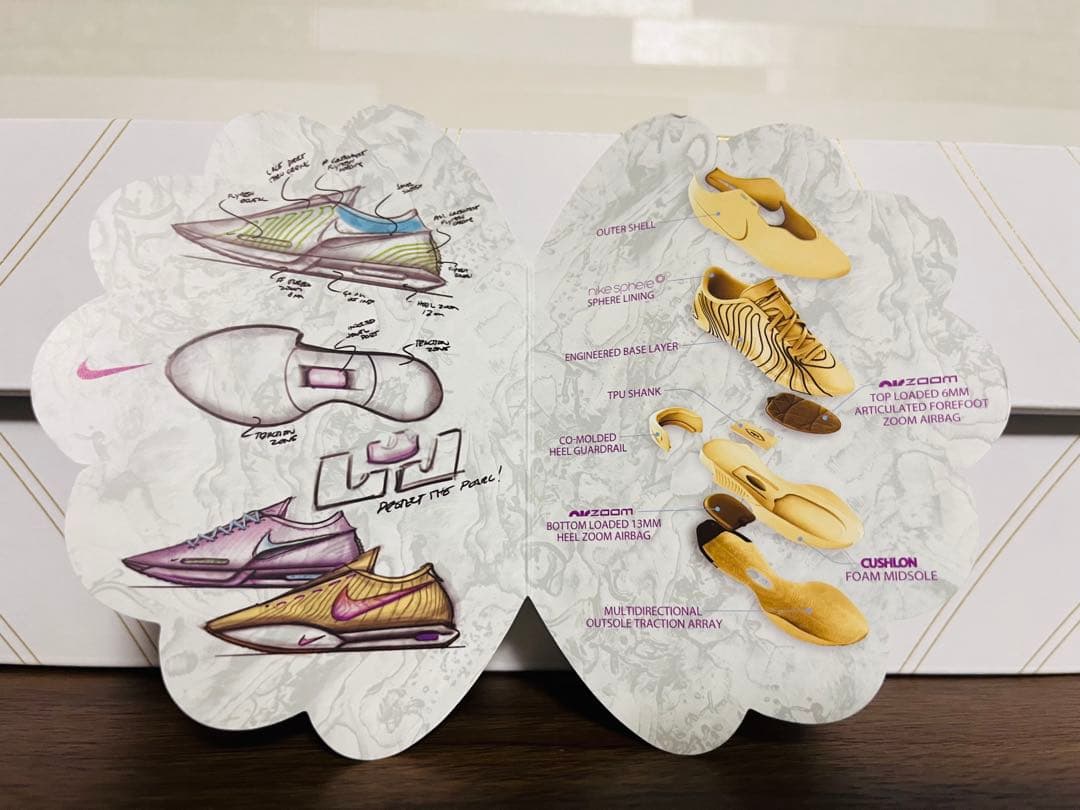 Nike Lebron21 レブロン21 即完カラー バッシュ 新品未使用