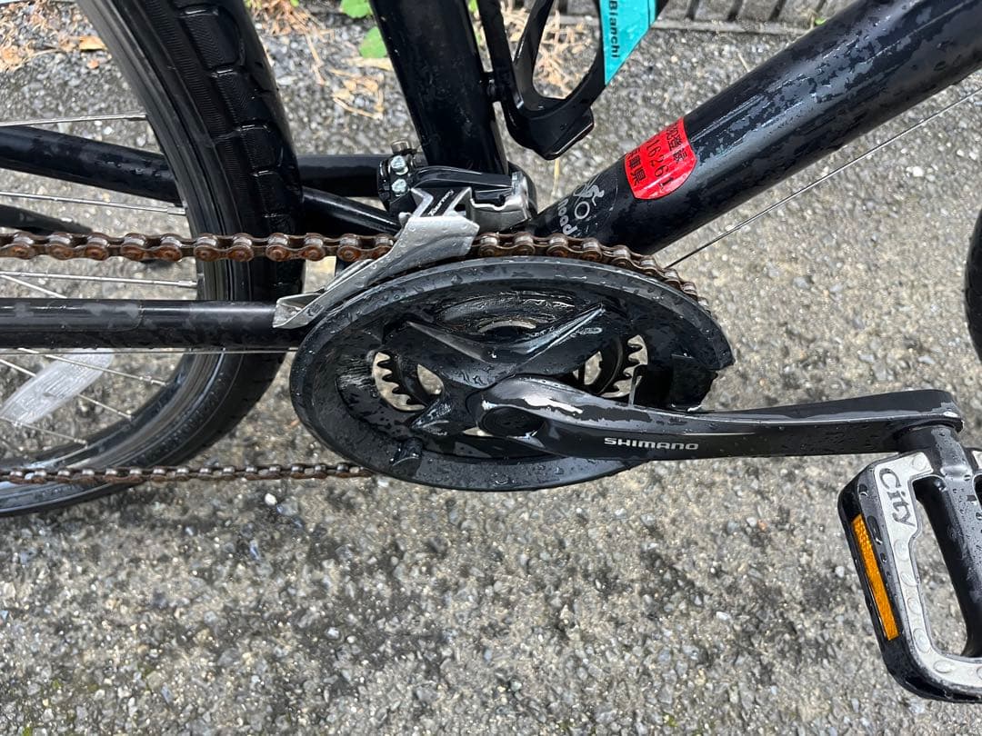 BIANCHI TORINO USモデル グラファイト 59 クロスバイク