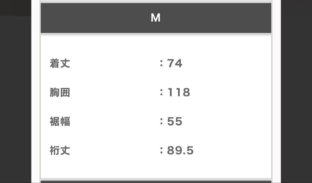 HERENESS CALM JACKET(MEN) Mサイズ