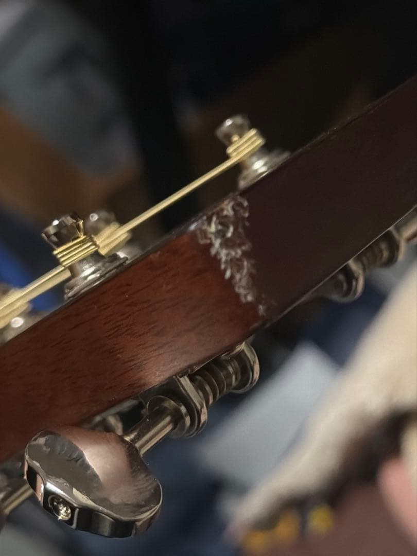 Aria dreadnought AD-28 アコースティックギター