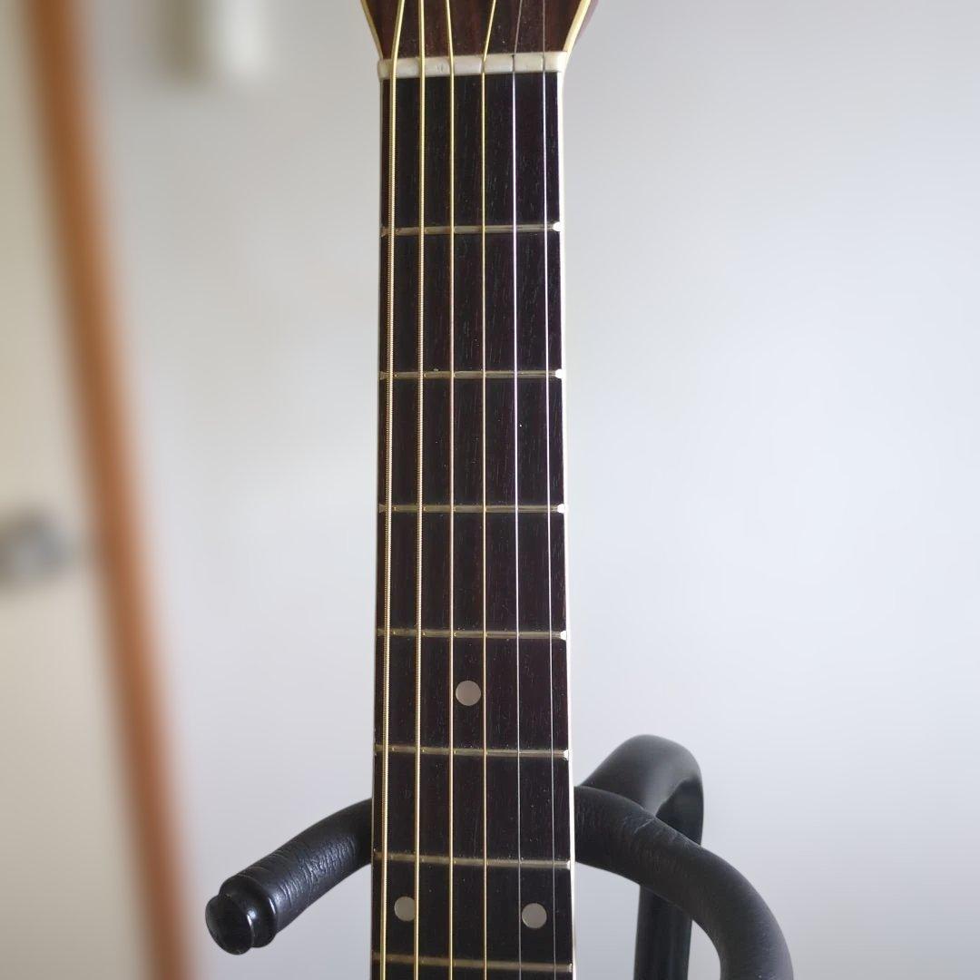 ギター Morris FD25