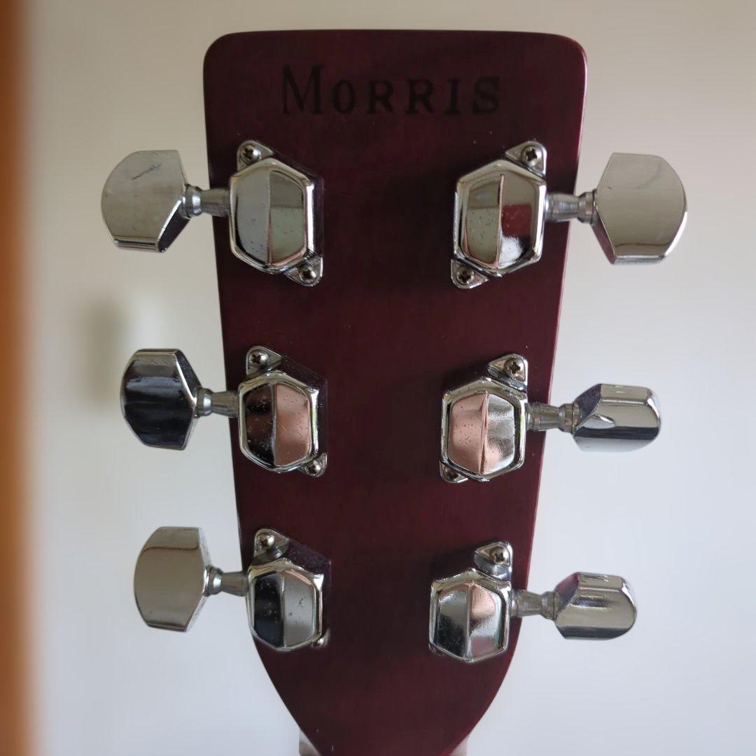 ギター Morris FD25