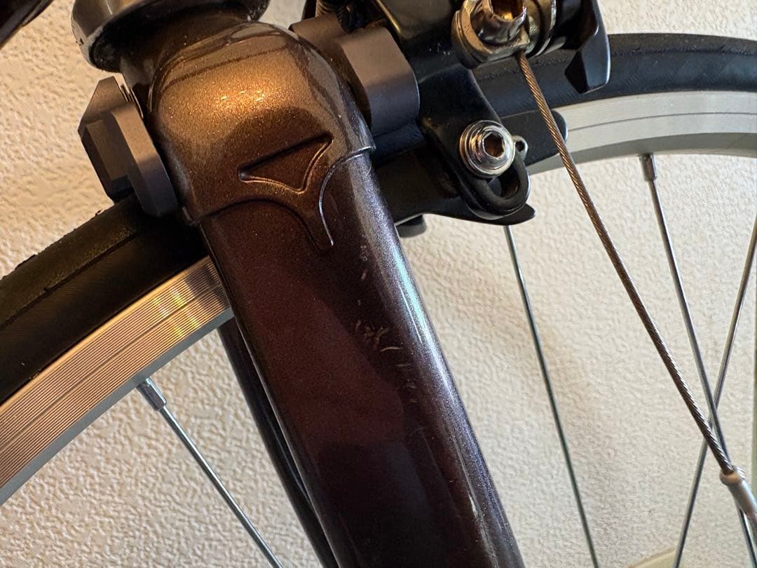Panasonic NJS ピスト 完成車