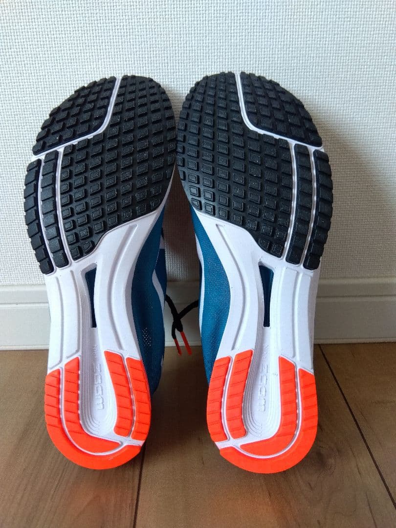 NIKE ズームストリーク lt 3 25.5cm