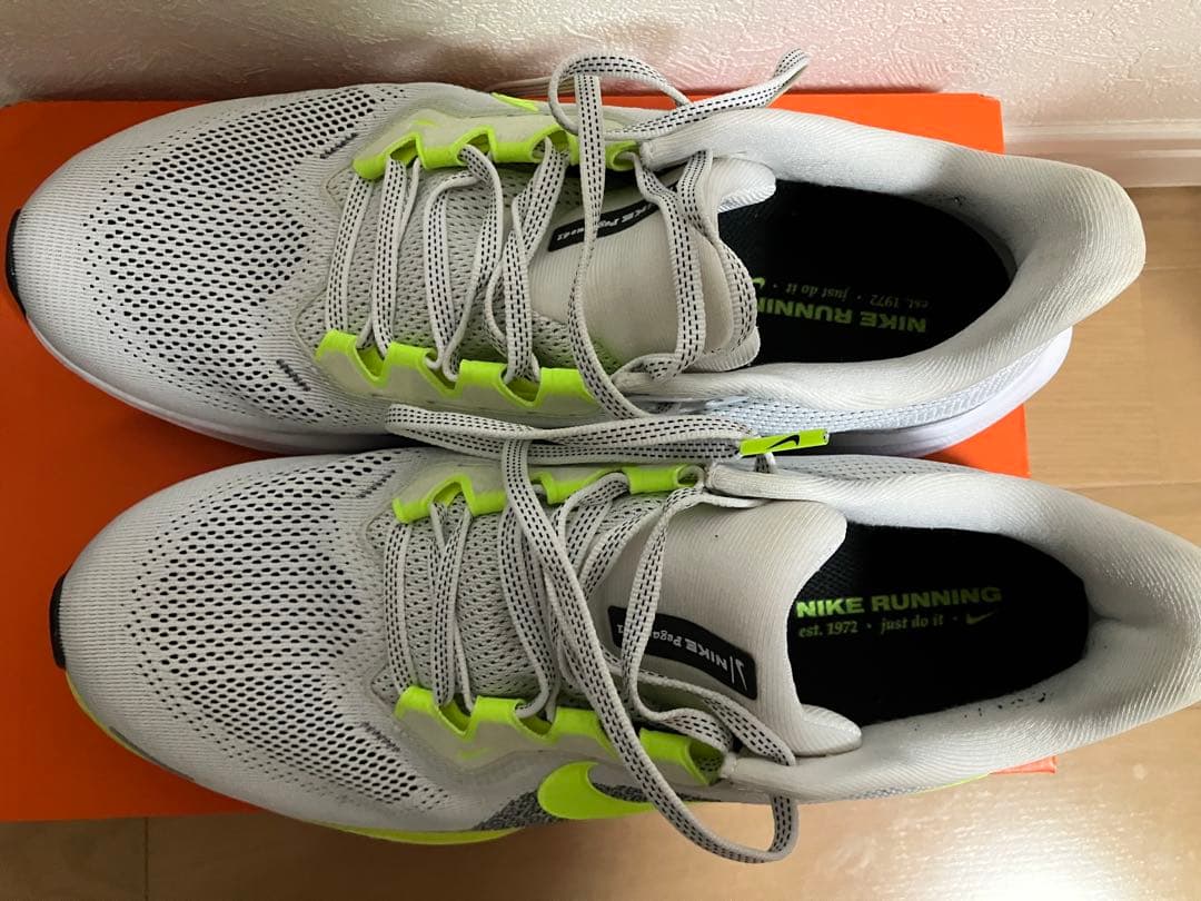 Nike ペガサス41 28㎝