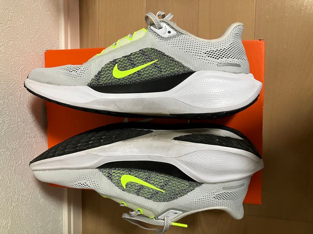 Nike ペガサス41 28㎝