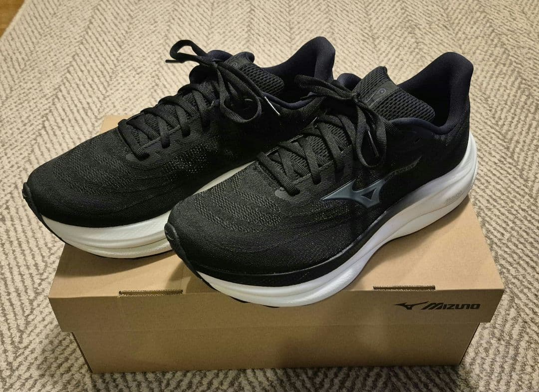 【美品】ミズノ ウェーブスカイ９ Mizuno Wave Sky9 27.0cm