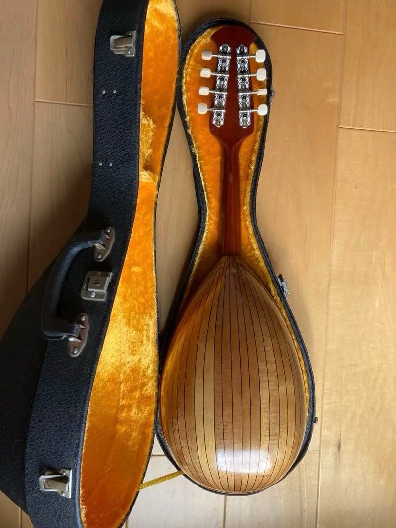 マンドリン 8弦 スプルースボディ