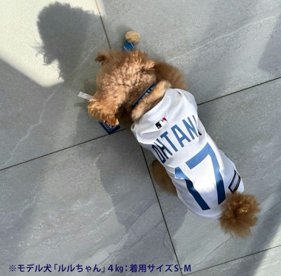 可愛い 大谷翔平❤ドッグウェア❣️