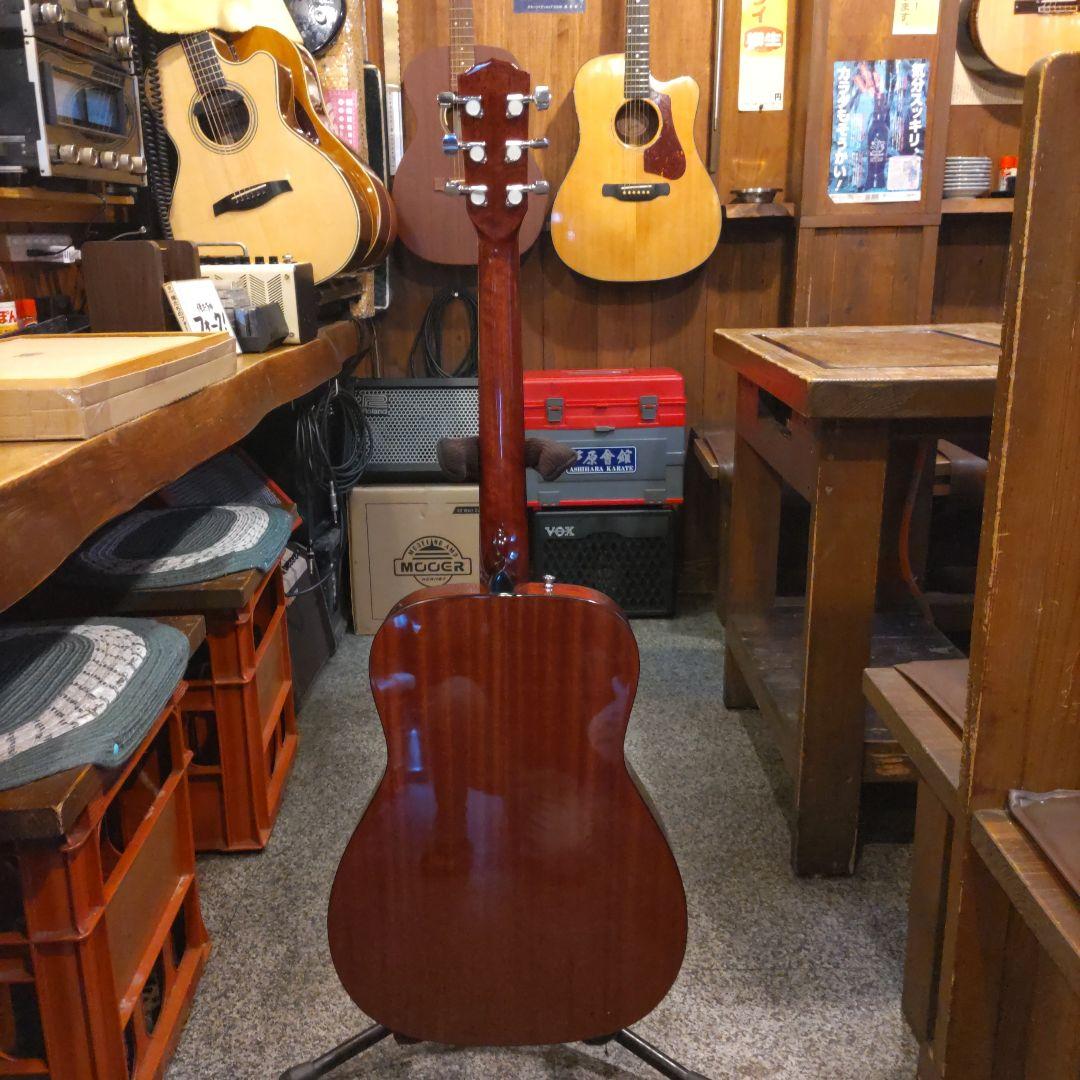 Fender CF-60 (管理サナ)