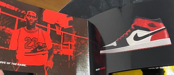 ジョーダン29cm　OLD LOVE NEW LOVE 新品未使用