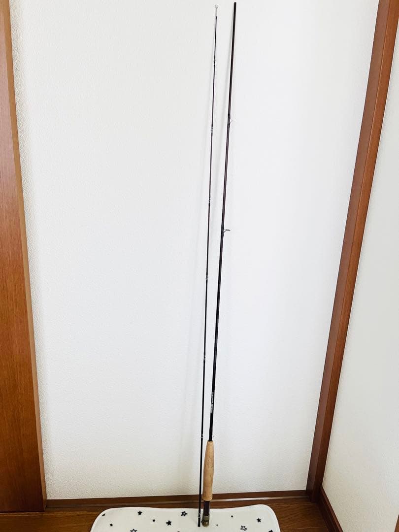 本日限定値下げ！SAGE セージ GRAPHITE Ⅱ 581 LLB ロッド