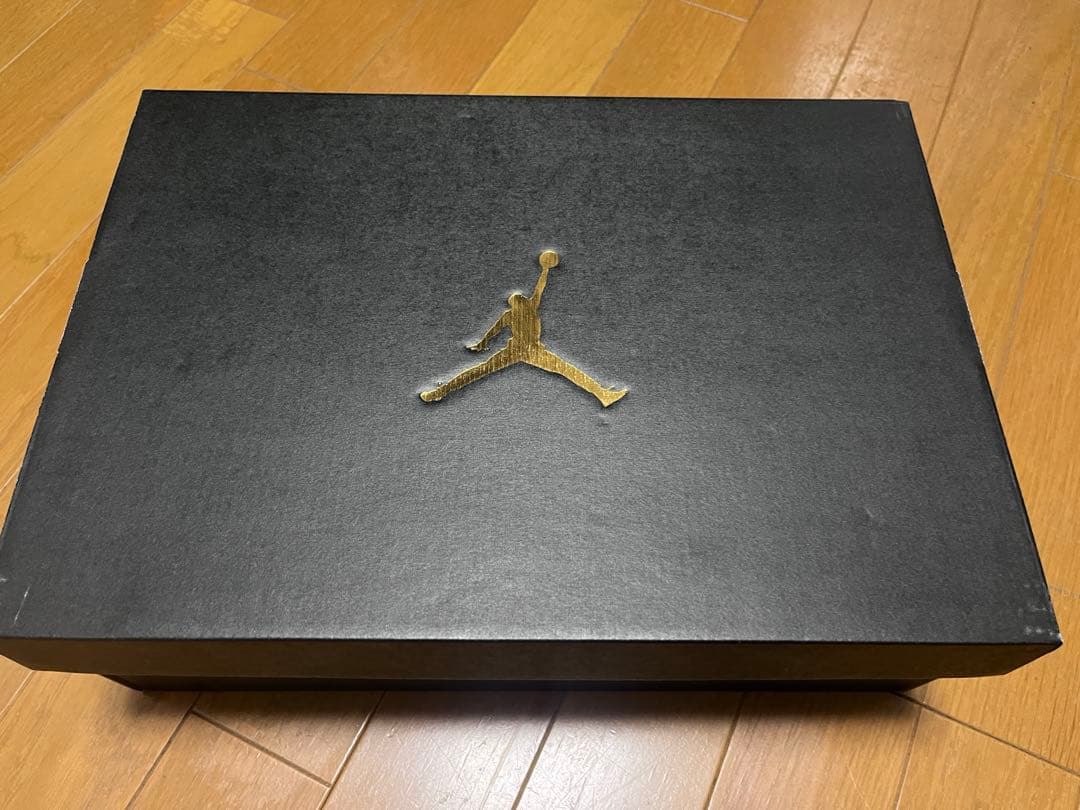 NIKEナイキ AIR JORDAN6 RETRO 6G 26cm
