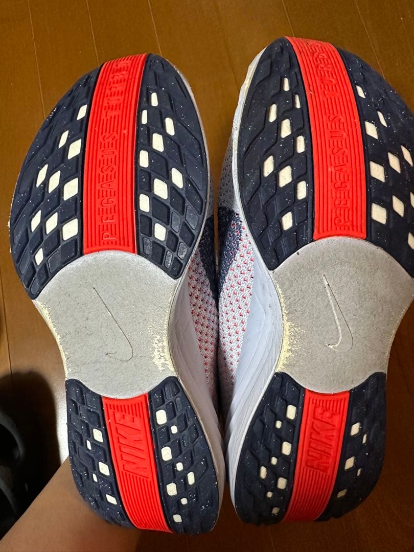 Nike ペガサスプラス 25.5 箱あり