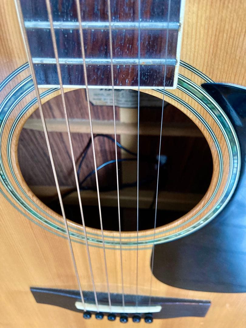 Rider. R-400D & L.R.Baggs M80 PU付き