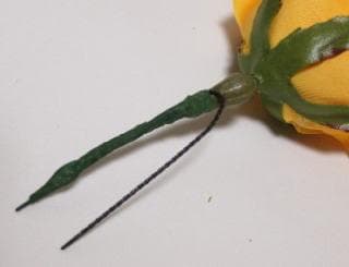 つき様