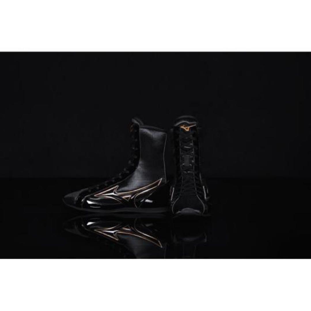 フィニッシャーMID(ボクシング)