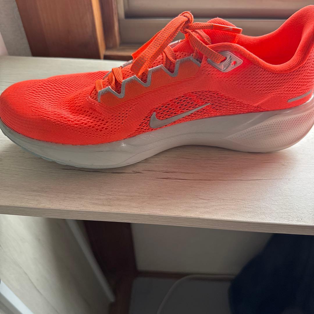 NIKE ペガサス41 26.5cm
