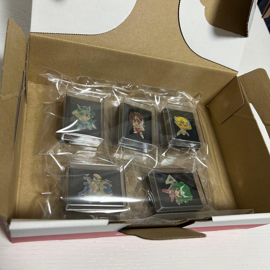 聖闘士星矢 ピンズ 5点フルセット 青銅聖闘士 ケース入り 当時物