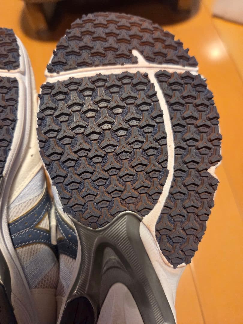 MIZUNO ウェーブエンペラージャパン 25.0cm