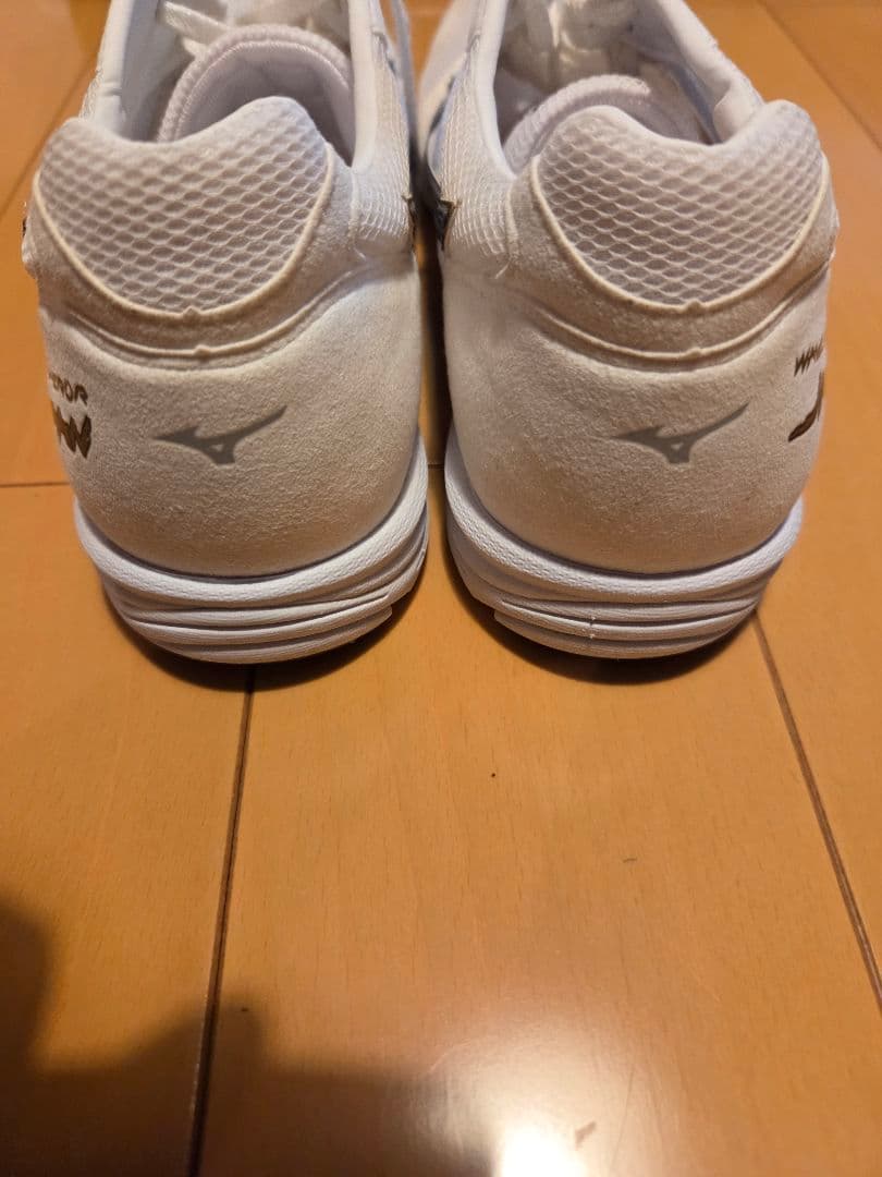 MIZUNO ウェーブエンペラージャパン 25.0cm